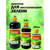 слайд 5