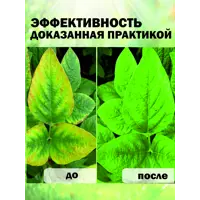 слайд 9