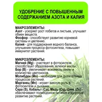 слайд 6