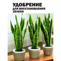 слайд 11