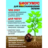 слайд 14
