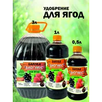 слайд 8