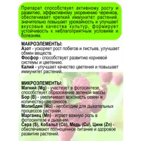 слайд 6