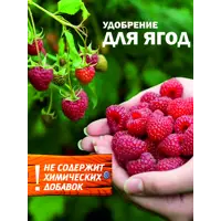 слайд 9