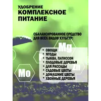 слайд 7
