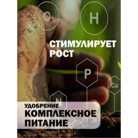 слайд 9