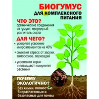 слайд 8