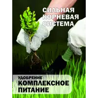 слайд 13