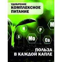 слайд 11
