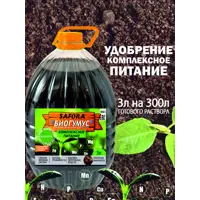 слайд 3