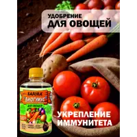 слайд 13