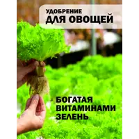 слайд 8