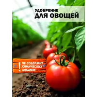 слайд 11