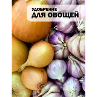 слайд 6