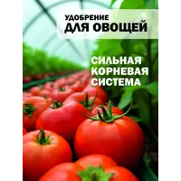 слайд 10