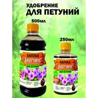 слайд 6