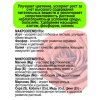 слайд 7