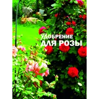 слайд 11