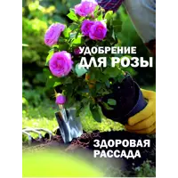 слайд 8