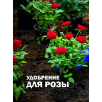 слайд 10