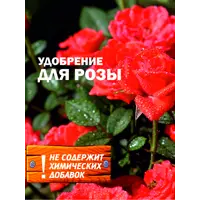 слайд 9