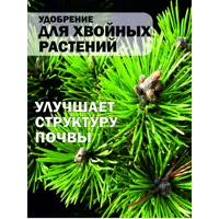 слайд 8