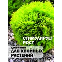 слайд 10
