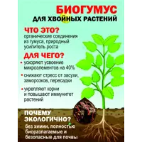 слайд 13