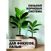 слайд 15