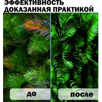 слайд 11