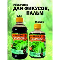 слайд 6