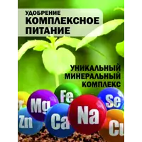 слайд 9