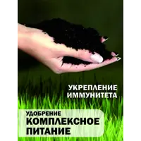 слайд 7
