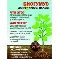 слайд 4