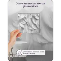 слайд 8