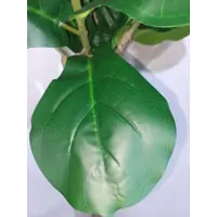 слайд 5