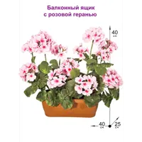 слайд 0