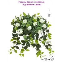 слайд 0