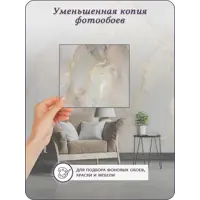 слайд 8
