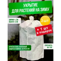 слайд 0