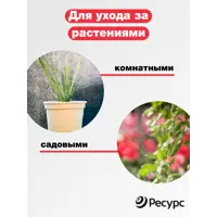 слайд 6