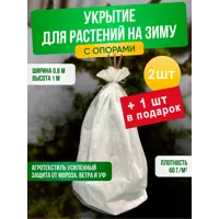 слайд 5