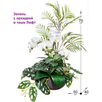 слайд 0
