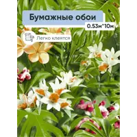 слайд 0