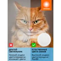 слайд 9