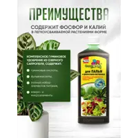 слайд 3