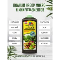 слайд 6