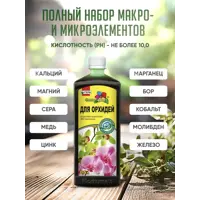 слайд 6