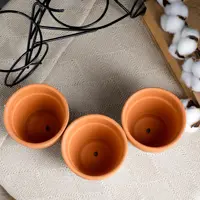 слайд 5
