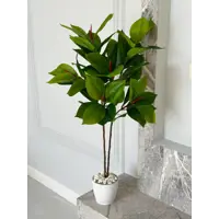слайд 0